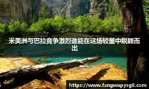  足球分析