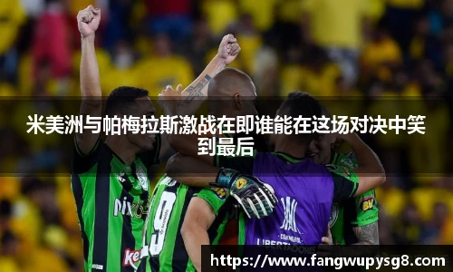 专业足球平台