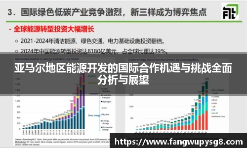 亚马尔地区能源开发的国际合作机遇与挑战全面分析与展望