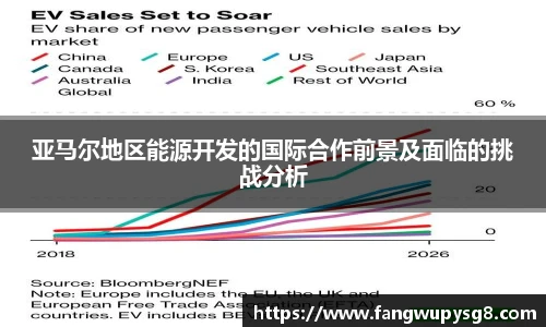 亚马尔地区能源开发的国际合作前景及面临的挑战分析