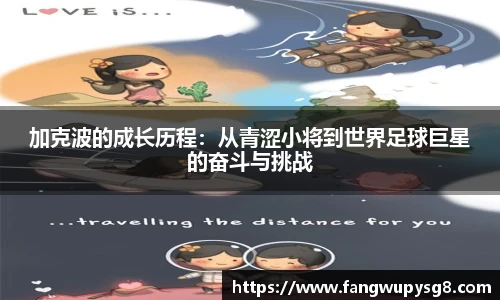 足球统计