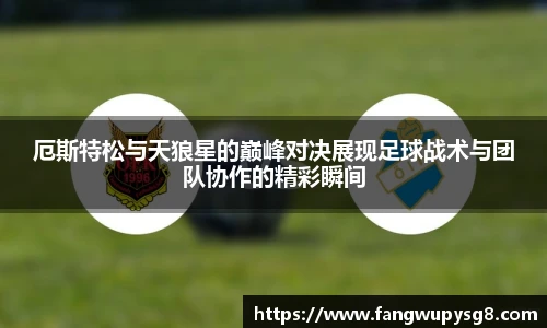 Opta足球数据官网